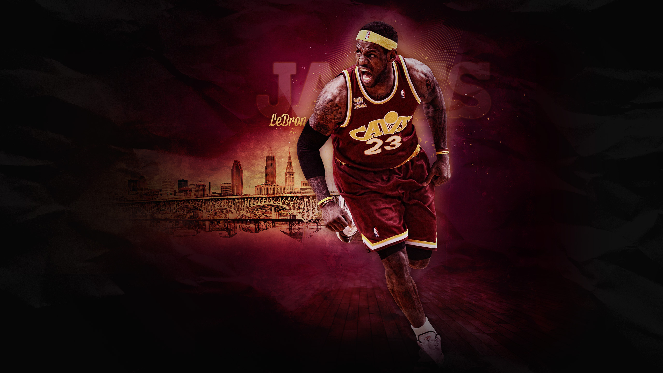 LeBron James HD5044214785